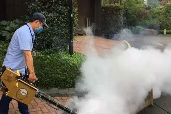 捕鼠联系方式感谢咨询