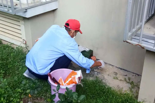 捕鼠公司选哪家品质精良