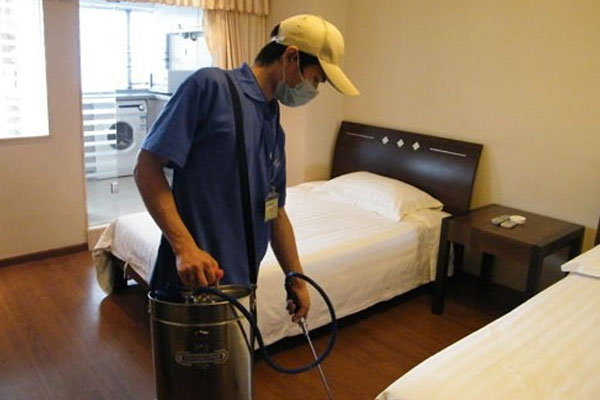 捕鼠公司哪家价格便宜薄利多销
